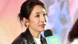 兴奋的夫人